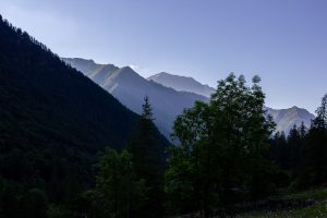 La Stella Alpina Valle Soana