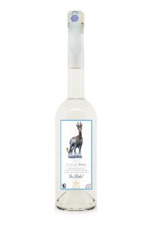 Genepy Bianco Ice La Stella Alpina della Valle Soana